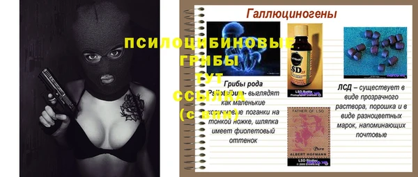 индика Алзамай