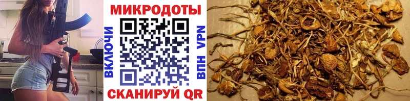 Псилоцибиновые грибы прущие грибы  darknet телеграм  Билибино  наркота 